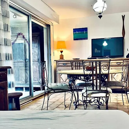 Apartment Avec Jardin « le Meridien » *